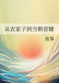 从农家子到当朝首辅